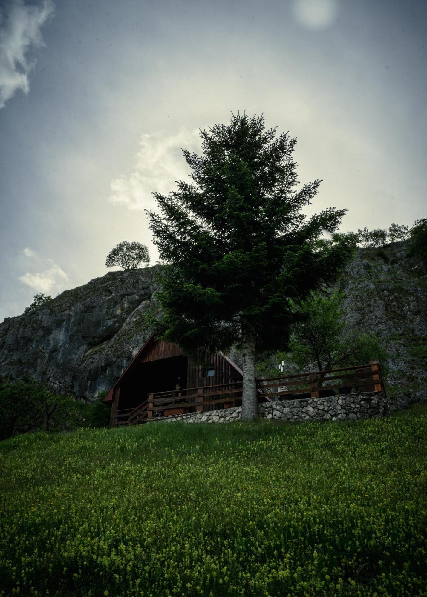 Detached House Milivoje Hotel Poscenje Exterior foto